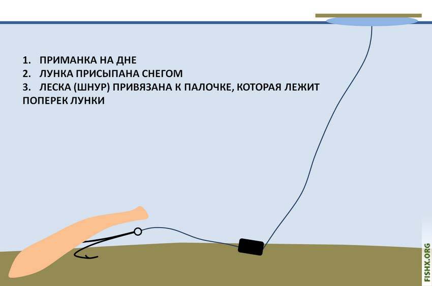 Ловля налима весной на донку, закидушку, фидер и спиннинг