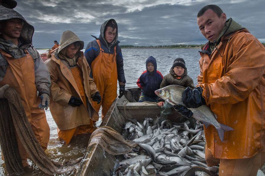 Запреты и ограничения рыбалки 2021 в регионах дальневосточного рыбохозяйственного бассейна