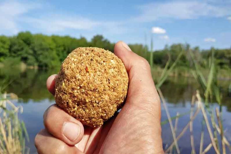 Как приготовить бойлы на карася в домашних условиях?