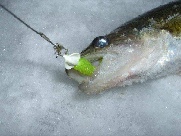 Зимний джиг зимняя рыбалка на джиг спиннинг