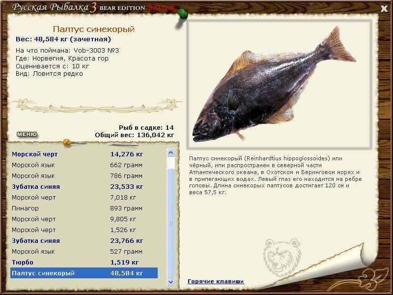 Палтус: описание и фото рыбы, рацион, места обитания и способы ловли