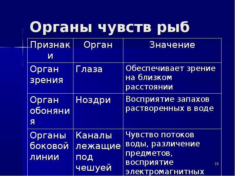 Органы чувств у рыб презентация