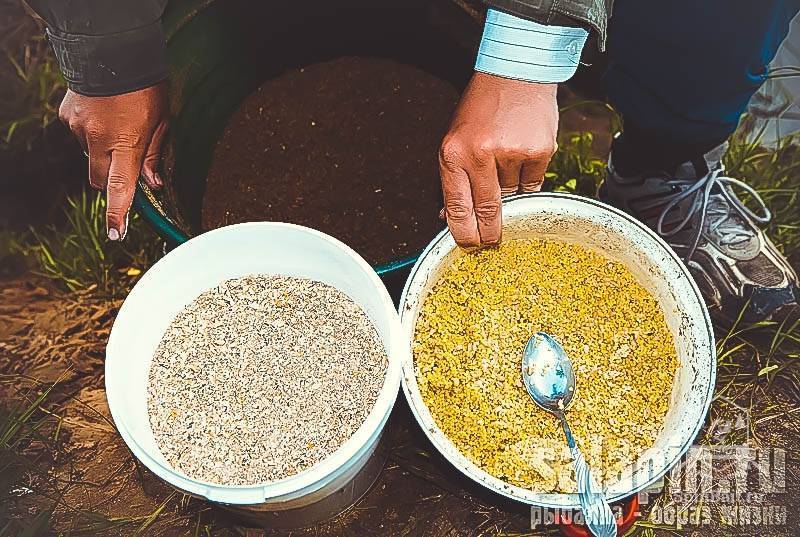Прикормка на карася для пружины и кормушки