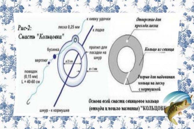 Кольцовка на леща схема монтажа своими руками