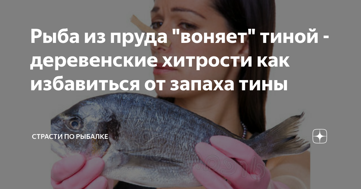Запах рыбы у женщин причины лечение. Запах рыбы. Как избавиться от запаха рыбы. Рыба пахнет Тиной. Рыба в Тине.