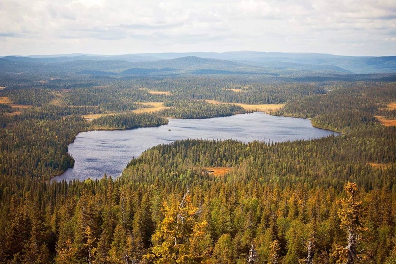 Паанаярви национальный парк климат