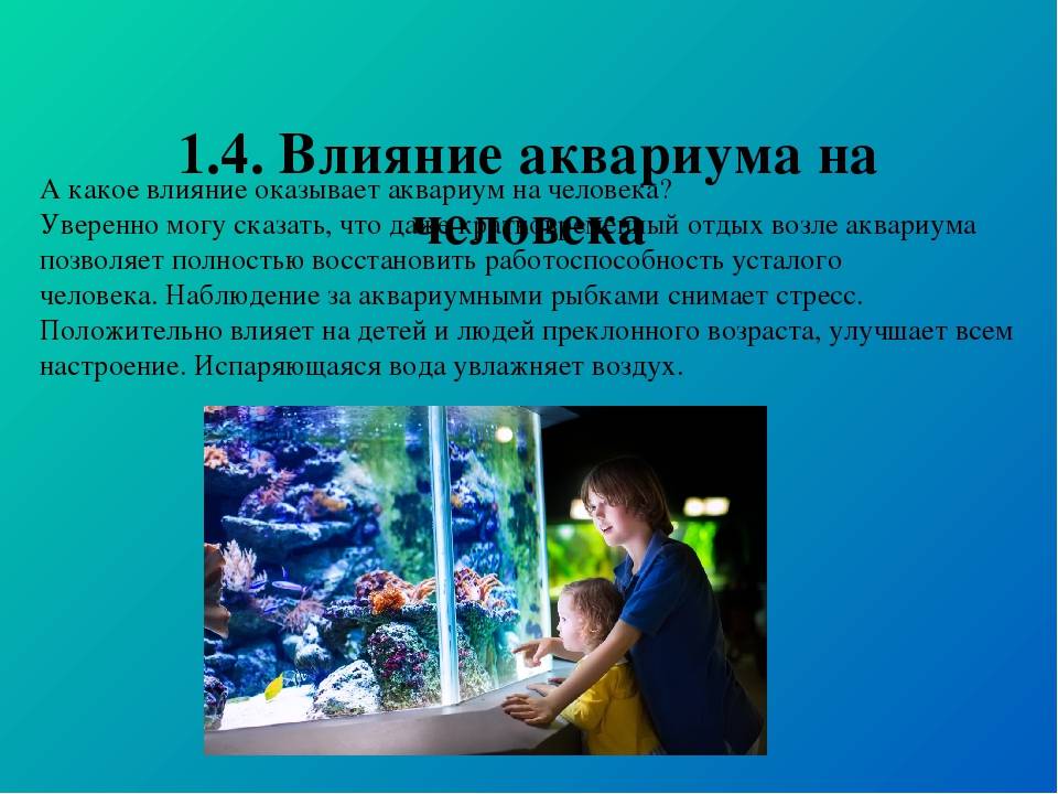 Аквариумная психотерапия: правила и факты