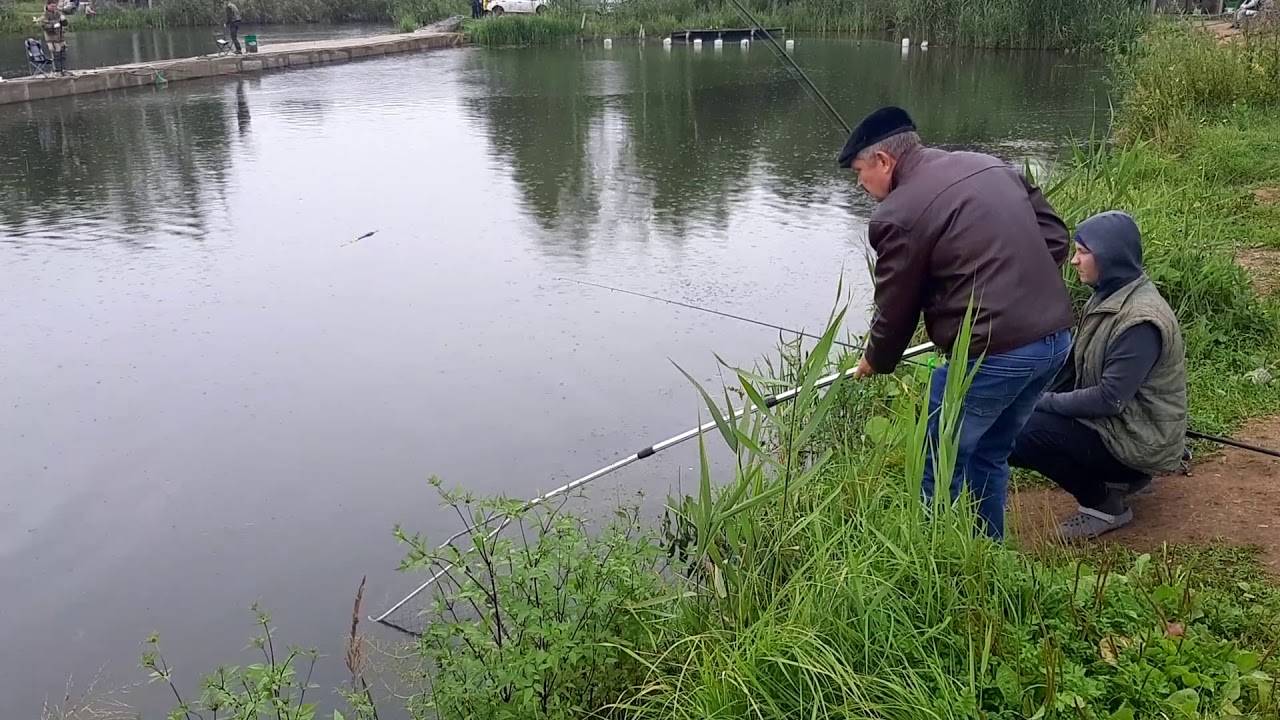 Где ловить рыбу во владимирской области и владимире