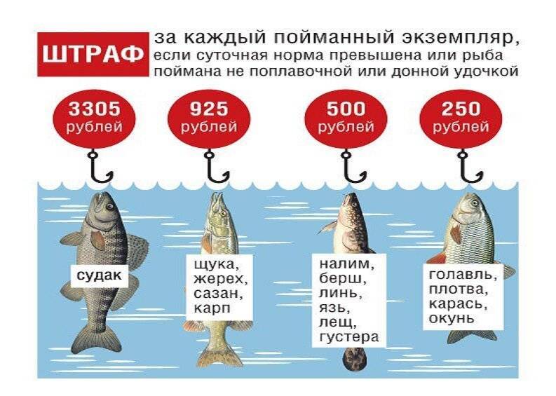Правила рыбалки в россии