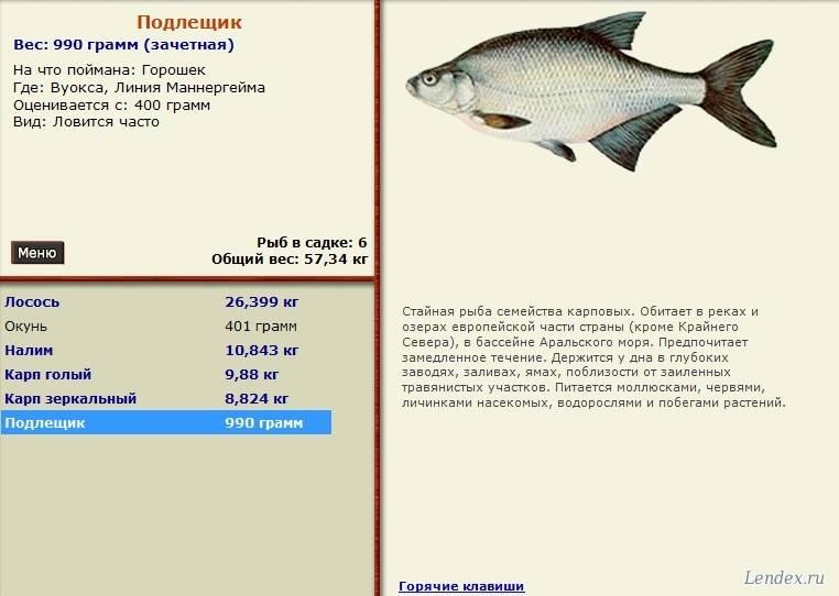 Как запаривать горох для рыбалки. сколько варить горох для рыбалки :: syl.ru