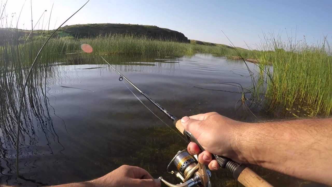 Спиннинг летом видео. Рыбалка на реке Тобол. Рыбалка на спиннинг. Спиннинг на реке. Ловля рыбы на спиннинг.