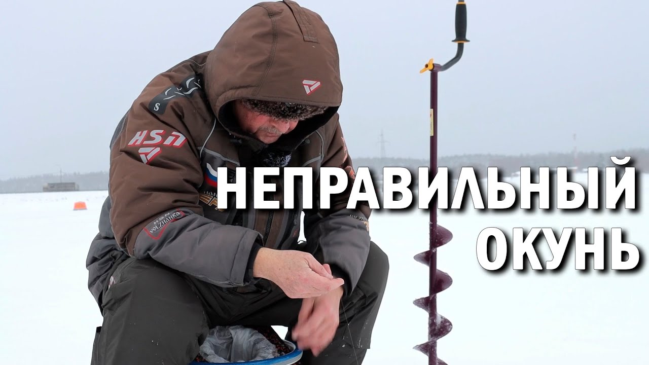Как ловить карася зимой