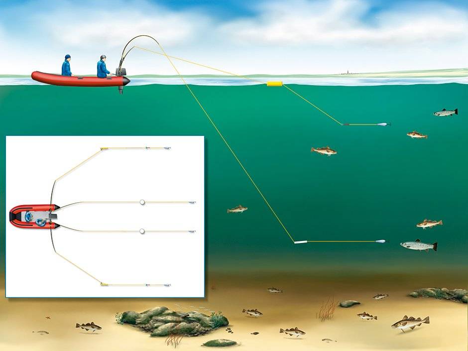 Троллинговая рыбалка: техника ловли снасти и оборудование