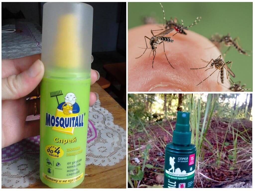 Натуральные средства от вездесущих комаров