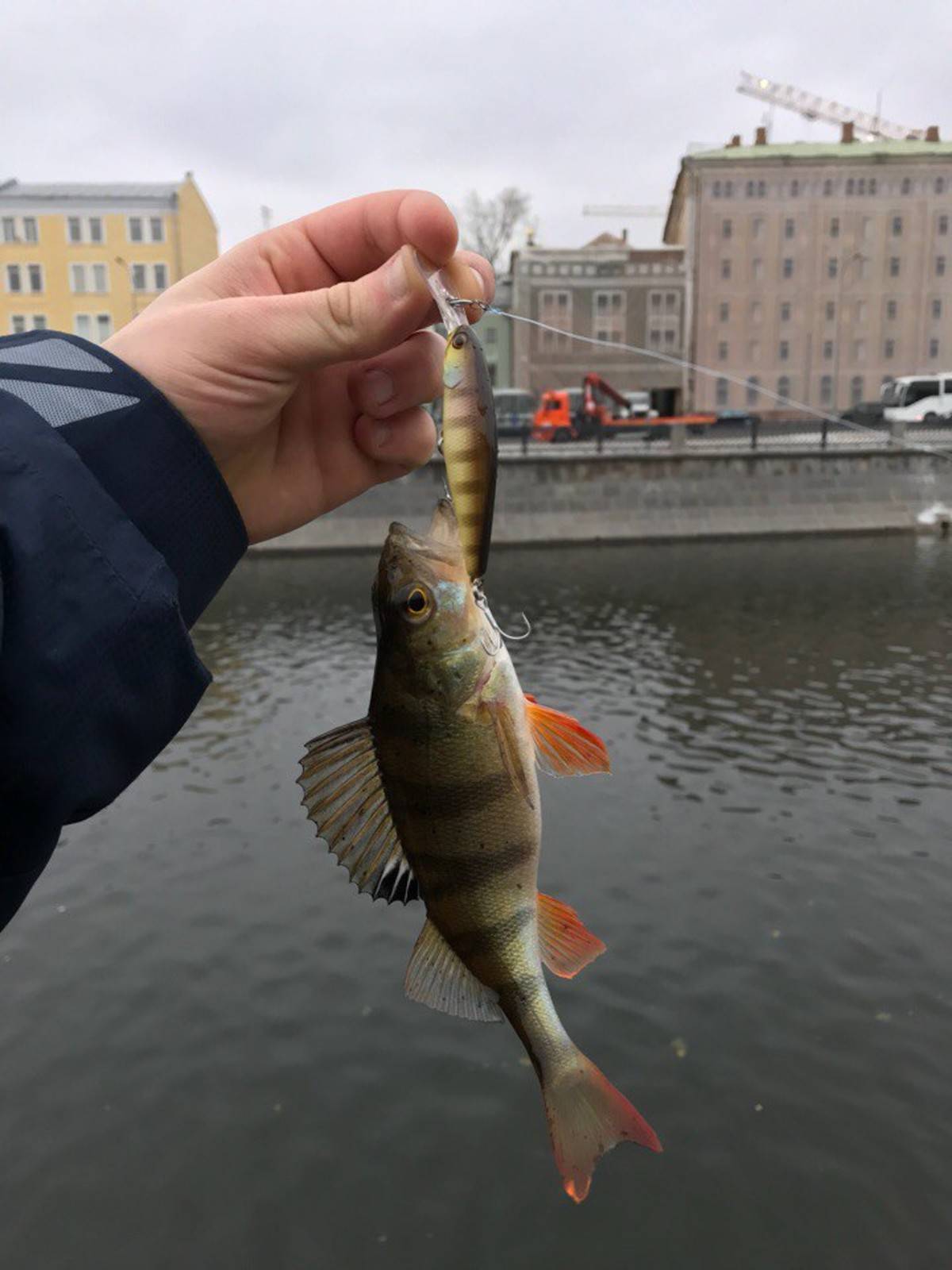 Современный спиннинг – экскурс в street fishing – рыбалка онлайн