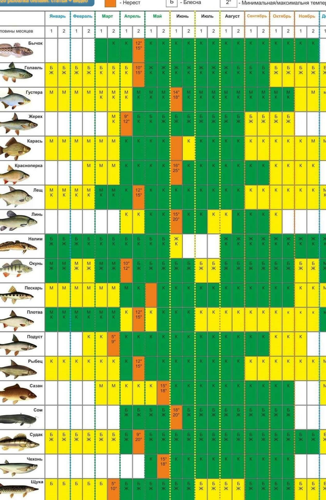 Клева рыбы в липецкой. Лунный календарь рыболова на 2022. Лунный календарь рыболова на 2022 год. Таблица когда клюет рыба. Рыбацкий календарь Ростовская область на 2022.