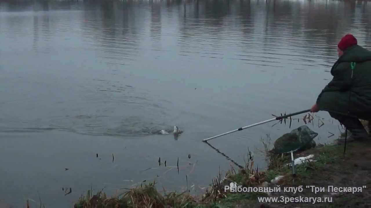 Квадрат на ленинградке платная рыбалка форум