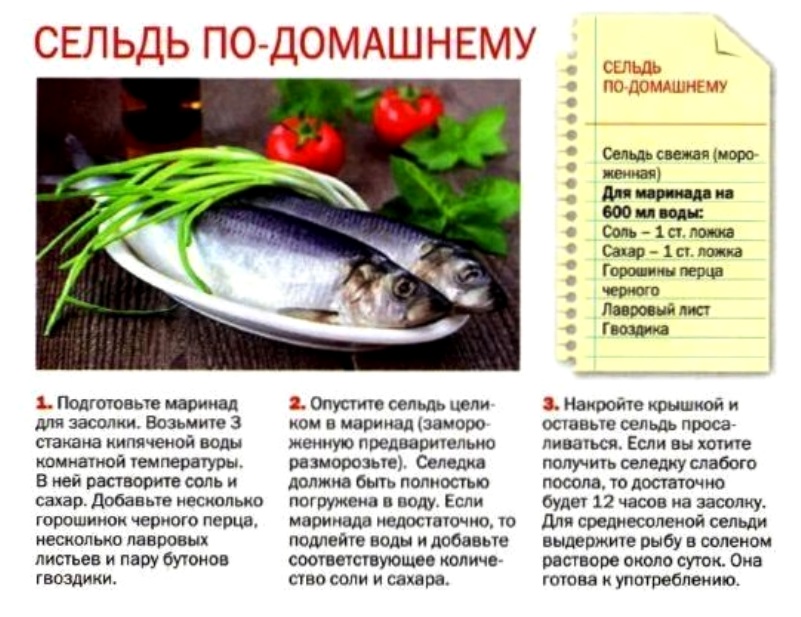 Как вялить рыбу в домашних условиях. рецепты, фото и видео