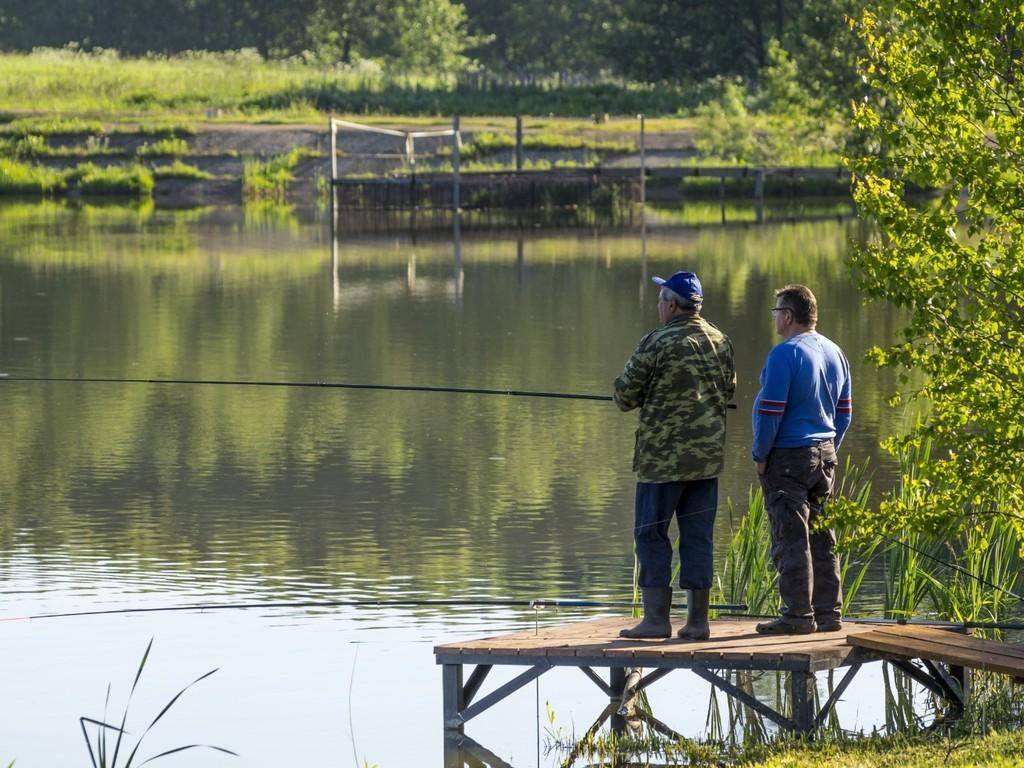 Рыбалка в новосибирской области 2022 | вести с водоемов, озера, чаны, запрет