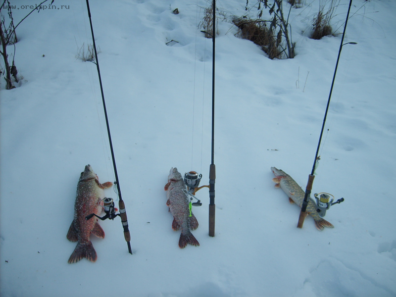 Зимний спиннинг. секреты успешной рыбалки