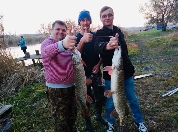Турбазы и базы отдыха белгородской области