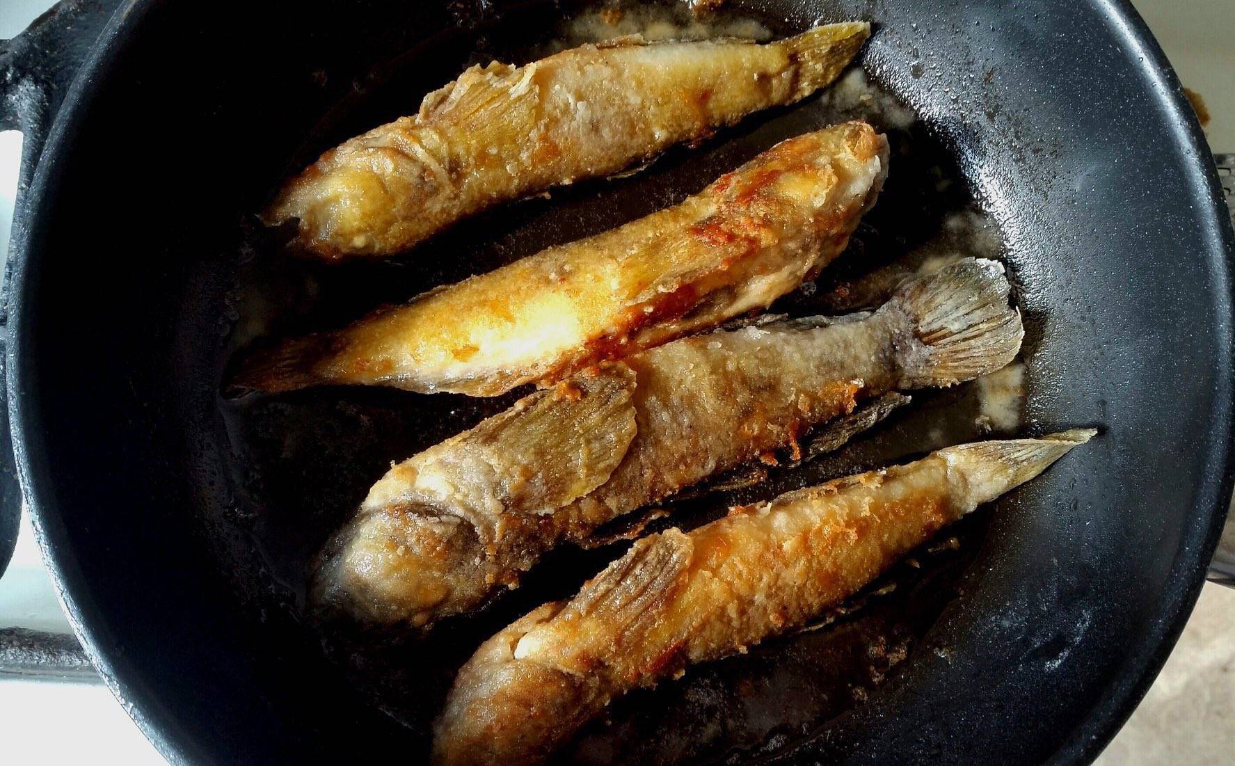 Жареная рыба на сковороде. рецепты вкусной рыбы, жареной на сковороде