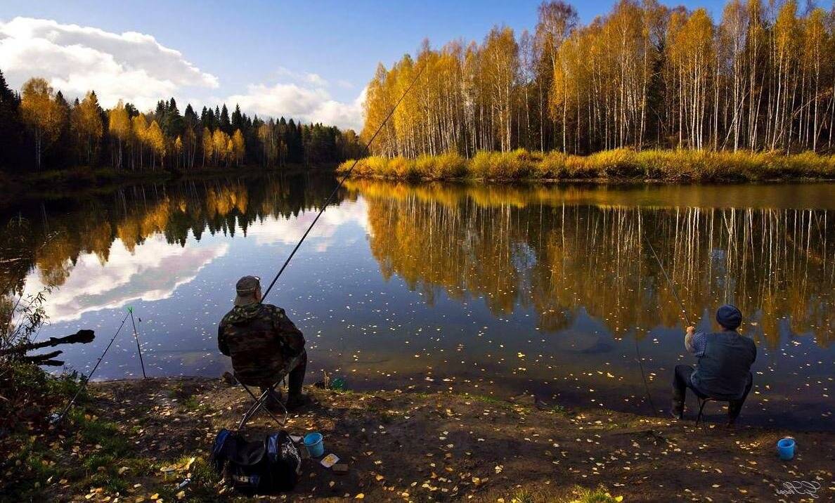 Рыбалка в ноябре – продолжаем ловить рыбу по календарю