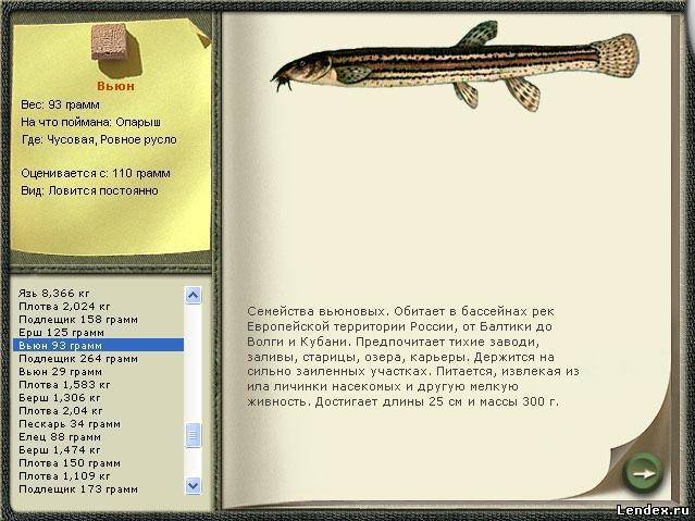 Рыба вьюн: фото, описание, где обитает, чем питается, как ловить