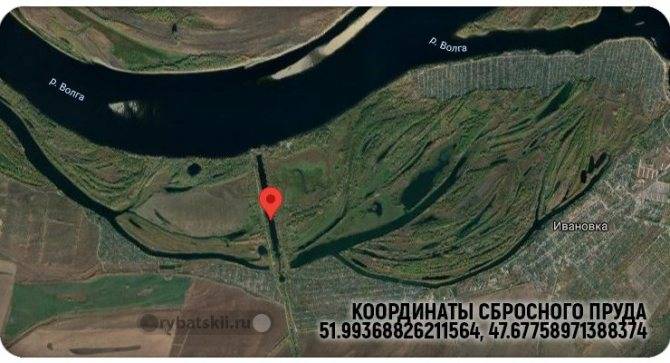 Рыбалка в саратовской области на волге | ловим все
