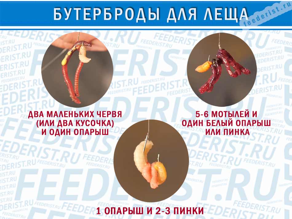 Рабочие наживки и насадки для ловли леща на фидер
