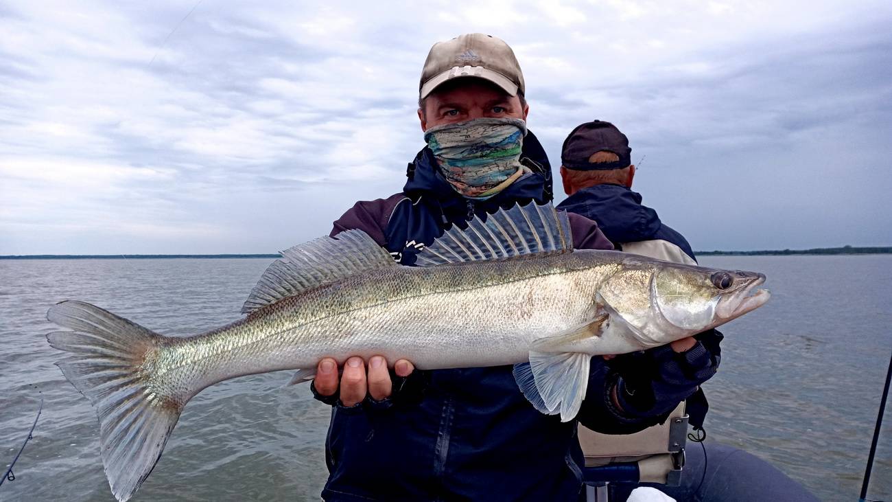 Рыбалка в калининградской области и в калининграде - fishingwiki
