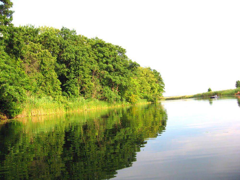Село елань где находится