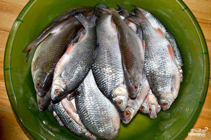 Как солить рыбу для сушки в домашних условиях: вкусные рецепты