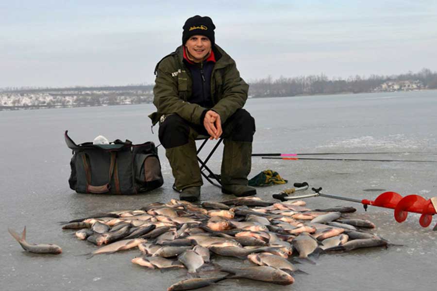 Отчеты о рыбалке в курской области