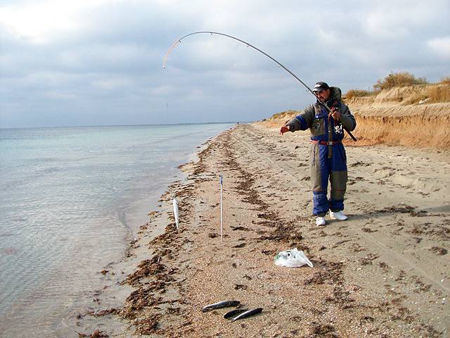 Где, на что и в какое время года ловить барабульку в чёрном море – рыбалке.нет