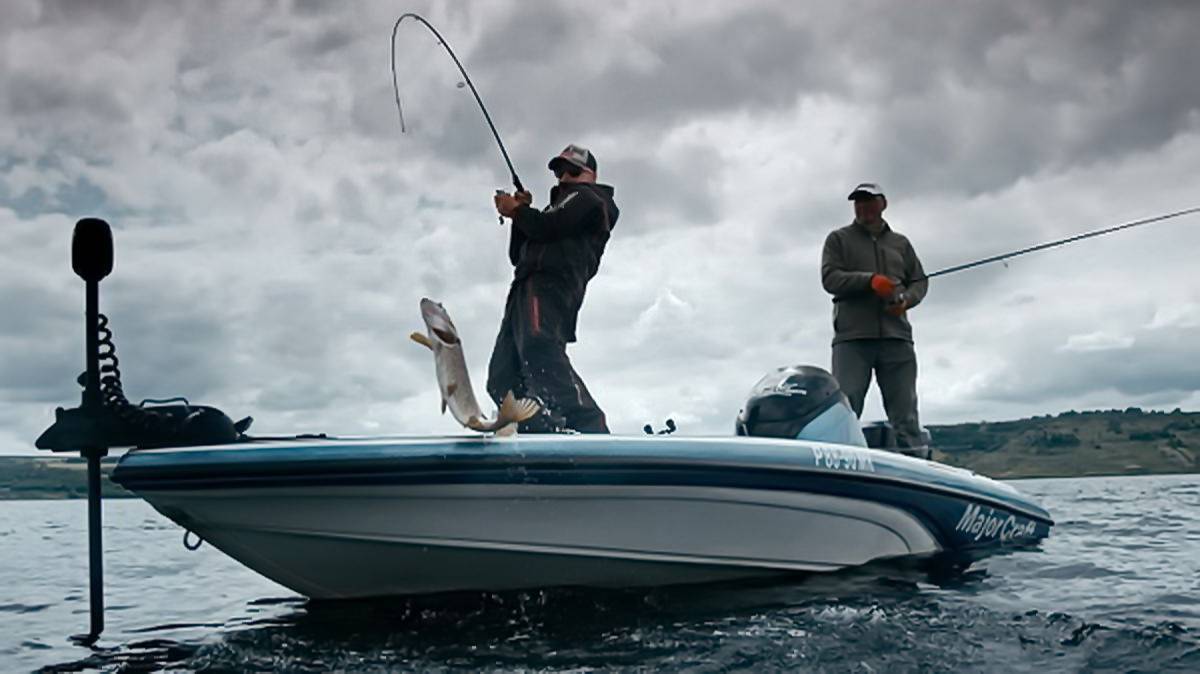 Рейтинг спиннингов на щуку: 14 лучших моделей для ловли с берега и лодки