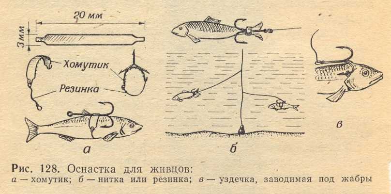 Судак на живца - выбор оснастки для осеннего, зимнего и весеннего периода