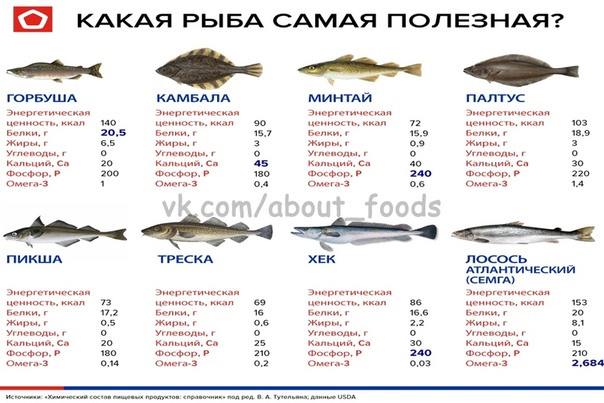 Какая рыба является самой жирной? польза жиронй рыбы для организма.  