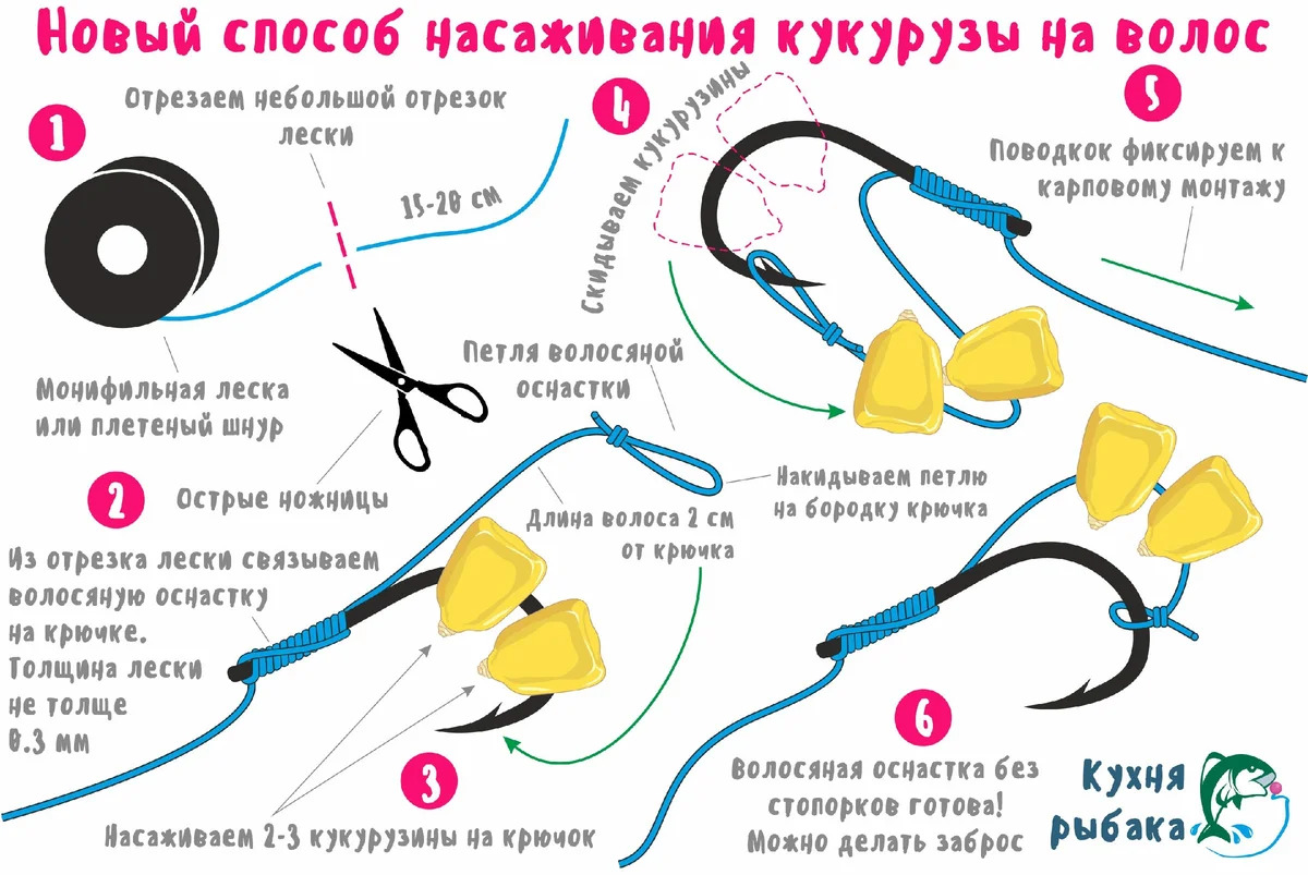 Ферментированная кукуруза для ловли карпа: способ приготовления