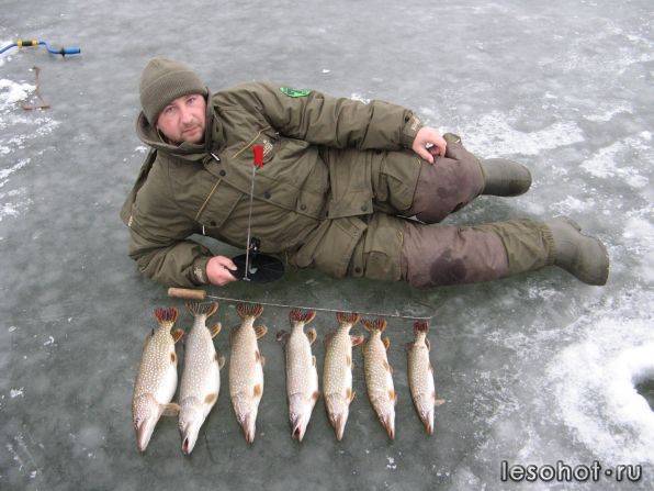 Отчеты о рыбалке с разных областей россии и украины. клуб рыболовов