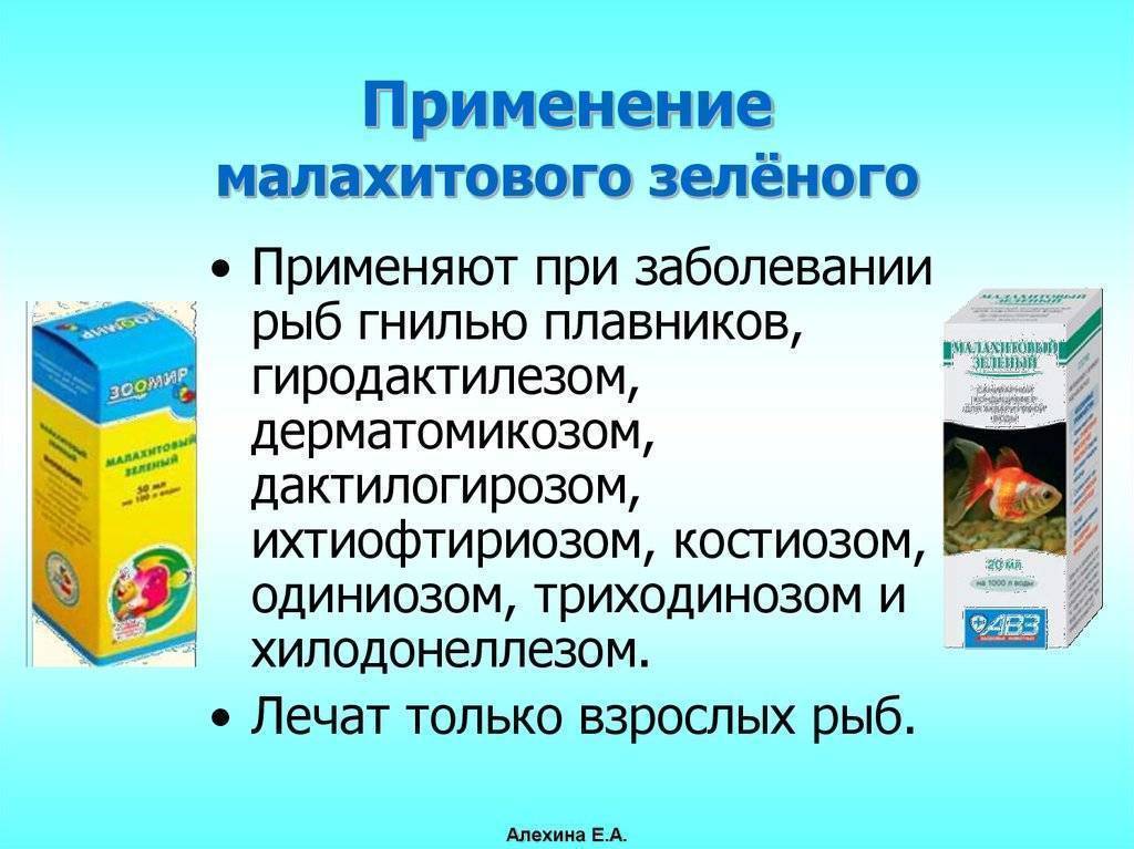 Зеленка для аквариума