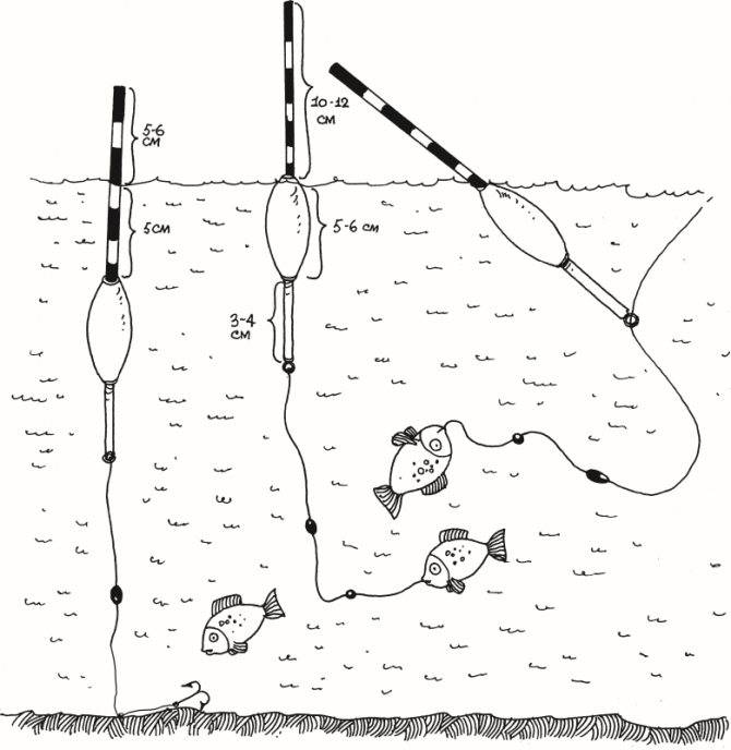 Варианты оснастки поплавочных удочек на карася — глухая, скользящая, матчевая, с кормушкой