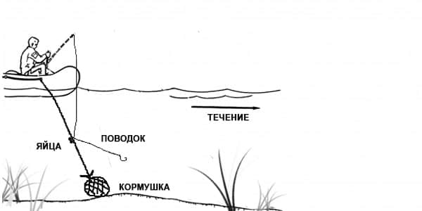 Козыри методов живцовой ловли - спортивное рыболовство