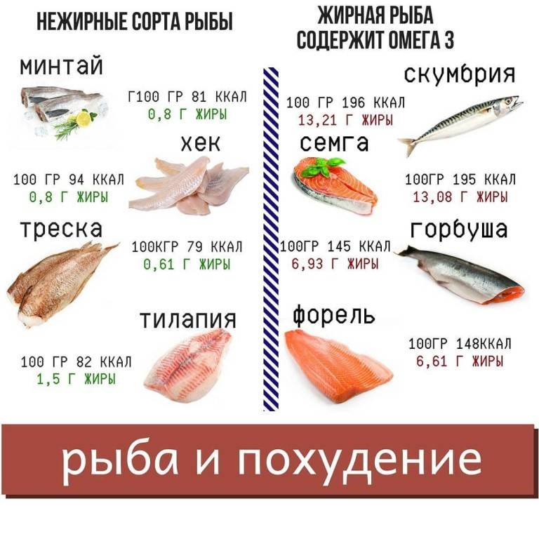 ???? классификация рыбы в зависимости от жирности: что выбрать для правильного питания