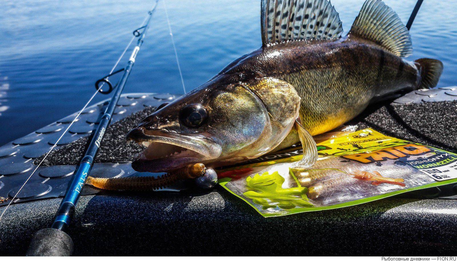 Проверенные заговоры на удачную рыбалку: как добиться крупного улова — суеверия