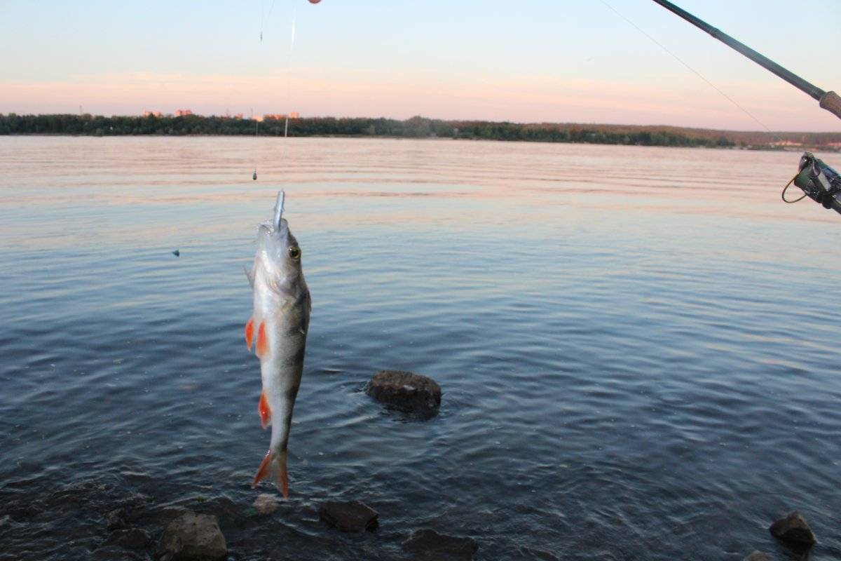 Места для рыбалки в пермском крае – платная и бесплатная рыбалка!