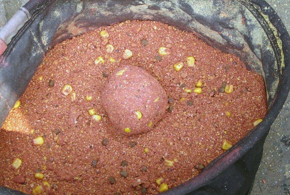Прикормка для сазана – практические советы