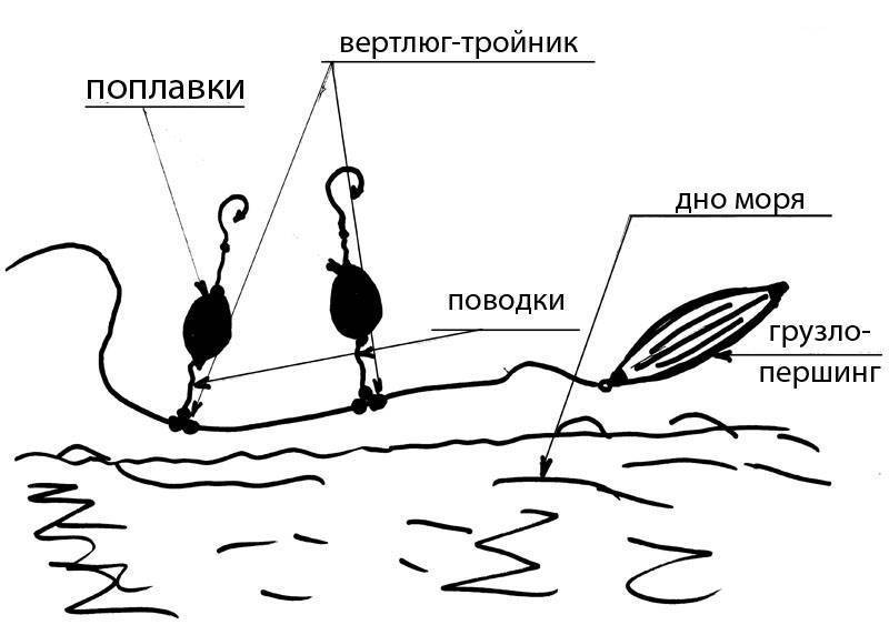 Кефаль черноморская: виды, фото, на что ловить - черноморие.рф