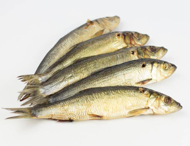 Мойва – польза, вред и калорийность, советы по выбору рыбы, рецепты с фото на ydoo.info