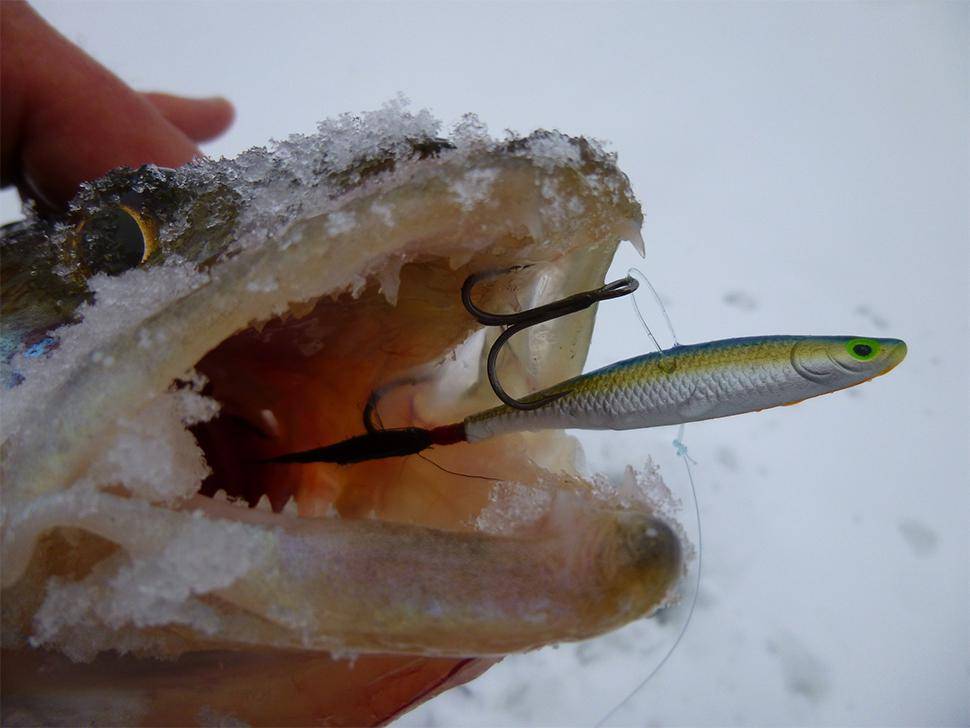 Как ловить на раттлины зимой в отвес? - читайте на сatcher.fish